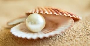 . ஒரு சொல்லுக்கு இணையான வேறு சொல்லை அறிக