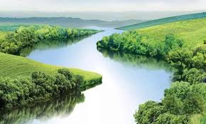 பிழையைத் திருத்துக பிழையைத் திருத்துக