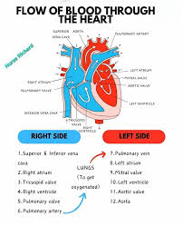 Consider the following statements