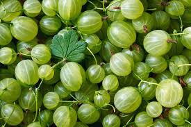 நெல்லிக்காய் மூட்டை கொட்டினாற் போல