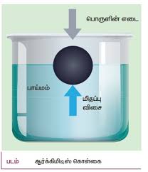 பருமக் குணகத்தின் விகிதம்