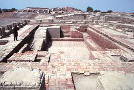 Harappan cities show evidence of Ritualistic Practices?