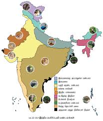 அதிகபட்ச பல்வகைத் தன்மை கொண்ட பகுதி