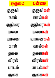 ணகர, னகர வேறுபாடு காண்க ணகர, னகர வேறுபாடு காண்க