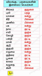 மரபுப்பிழை நீக்குக இளமைப் பெயர்கள் மரபுப்பிழை நீக்குக இளமைப் பெயர்கள்
